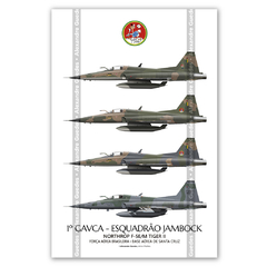 AERONAVES NORTHROP F-5E/M TIGER II • 1 GAVCA - ESQUADRÃO JAMBOCK • FAB
