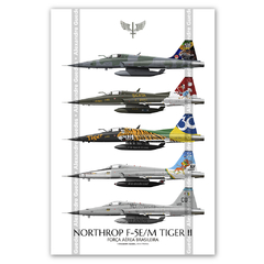 AERONAVES NORTHROP F-5E/M TIGER II COM PINTURAS COMEMORATIVAS DA FAB.