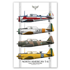 AVIONES T-6 NORTEAMERICANOS EN LA FUERZA AÉREA BRASILEÑA • 01