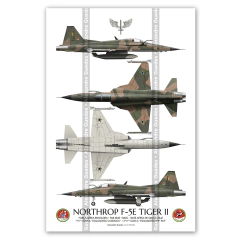 Northrop F-5E Tiger II, FAB 4845, 1º GAVCA, 4 vistas