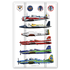 POSTER DA ESQUADRILHA DA FUMAÇA - COLETÂNEA