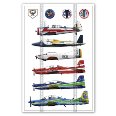 POSTER DA ESQUADRILHA DA FUMAÇA - COLETÂNEA
