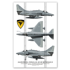 McDonnell Douglas AF-1B Skyhawk II, N-1004, 3 vistas