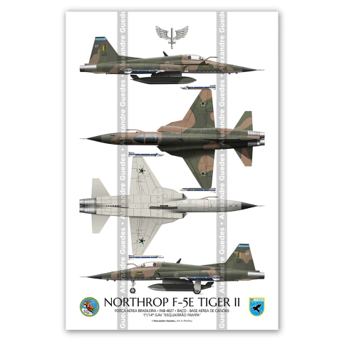 Northrop F-5E Tiger II, FAB 4827, 1º/14º GAV - Esquadrão Pampa, 4 vistas