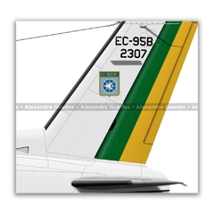 EMBRAER EC-95B BANDEIRANTE, FAB 2307, GEIV - Art In Profiles - Os melhores Posters de Aviação