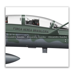 NORTHROP F-5FM TIGER II, FAB 4810, 1º/14º GAV, 2X - tienda online