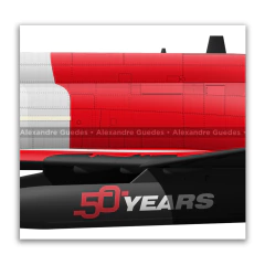 McDonnell Douglas F-4E PHANTOM II, TAF, S/N 77-0303, 50th Anniversary. - tienda online