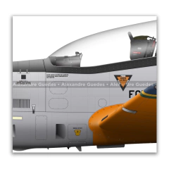 AFA 80 Anos, T-25 e T-27 com pintura comemorativa. - tienda online