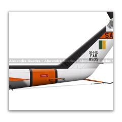 Bell 205 D/H Iroquois SH-1D, FAB 8535, 2º/10º GAV - Esquadrão Pelicano - tienda online