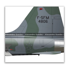 NORTHROP F-5FM TIGER II, FAB 4806, 1º/14º GAV - online store