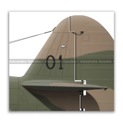 CURTISS P-40E-1 KITTYHAWK MK 1A, FAB, 01 - tienda online