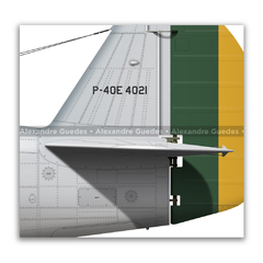 CURTISS P-40E-1 KITTYHAWK MK 1A, FAB, 4021 - tienda online
