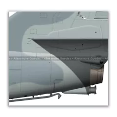 McDONNELL DOUGLAS AF-1B SKYHAWK II, N-1001 - Art In Profiles - Os melhores Posters de Aviação