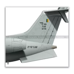 EMBRAER E-99, FAB 6701, 2º/6º GAV - tienda online