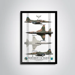 Northrop F-5E Tiger II, FAB 4827, 1º/14º GAV - Esquadrão Pampa, 4 vistas - comprar online