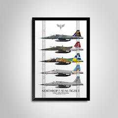 AERONAVES NORTHROP F-5E/M TIGER II COM PINTURAS COMEMORATIVAS DA FAB. - comprar online