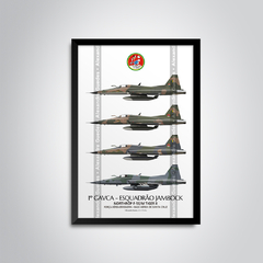AERONAVES NORTHROP F-5E/M TIGER II • 1 GAVCA - ESQUADRÃO JAMBOCK • FAB - comprar online