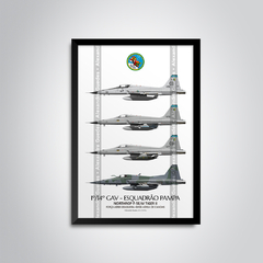AERONAVES NORTHROP F-5E/M TIGER II • 1/14 GAV - ESQUADRÃO PAMPA • FAB - comprar online