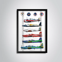 POSTER DA ESQUADRILHA DA FUMAÇA - COLETÂNEA - comprar online