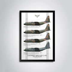 Poster C-130 Hércules: As Missões que Marcaram a História da FAB na internet
