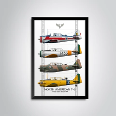 AVIONES T-6 NORTEAMERICANOS EN LA FUERZA AÉREA BRASILEÑA • 01 - comprar online