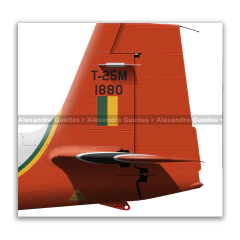 Neiva T-25M Universal, FAB 1880, AFANeiva T-25M Universal, FAB 1880, AFA - tienda online