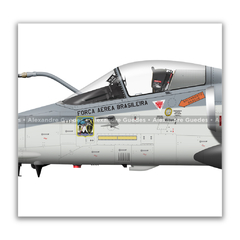 AERONAVES AMX INTERNATIONAL A-1 / A-1A / A-1M • 1/16 GAV - ESQUADRÃO ADELPHI • FAB na internet