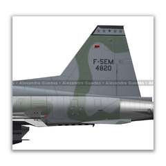 AERONAVES NORTHROP F-5E/M TIGER II • 1 GAVCA - 1/14 GAV - 1 GDA - 1/4 GAV • FAB. na internet