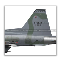 AERONAVE NORTHROP F-5E/M TIGER II • 1 GAVCA - 1/14 GAV - 1 GDA - 1/4 GAV • FAB. en internet