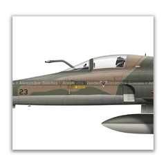 AERONAVES NORTHROP F-5E/M TIGER II • 1 GAVCA - ESQUADRÃO JAMBOCK • FAB na internet