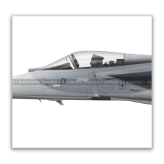 AERONAVES HISTÓRICAS DEL 1 GDA - ESCUADRÓN JAGUAR • FAB en internet