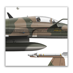 Northrop F-5E Tiger II, FAB 4845, 1º GAVCA, 4 vistas en internet