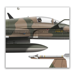 Northrop F-5E Tiger II, FAB 4845, 1º GAVCA, 4 vistas na internet