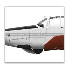 AVIONES UNIVERSALES NEIVA T-25 EN LA FUERZA AÉREA BRASILEÑA • 01 en internet