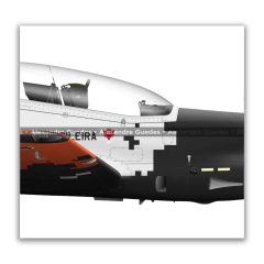 Embraer T-27M Tucano, FAB 1446, AFA on internet