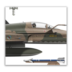 Northrop F-5E Tiger II, FAB 4827, 1º/14º GAV - Esquadrão Pampa, 4 vistas na internet