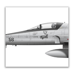 AERONAVES NORTHROP F-5E/M TIGER II • 1/14 GAV - ESQUADRÃO PAMPA • FAB na internet