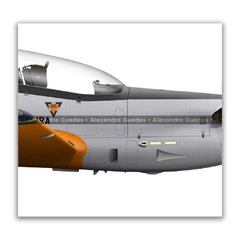 Embraer T-27M Tucano, FAB 1443, AFA - Pintura dos 80 Anos da AFA na internet