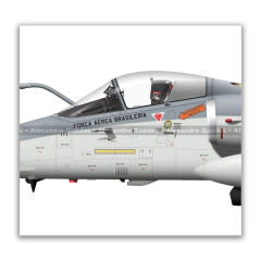 AVIONES INTERNACIONALES AMX A-1 / A-1A / A-1M • 1/10 GAV - ESCUADRÓN DE POKER • FAB en internet