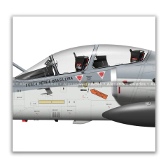 AVIONES INTERNACIONALES AMX A-1B / A-1BM • 1/16 GAV - ESCUADRÓN ADELPHI • FAB en internet