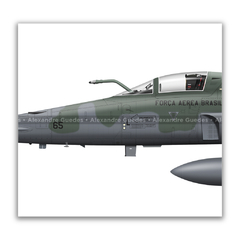 AERONAVES NORTHROP F-5E/M TIGER II COM PINTURAS COMEMORATIVAS DA FAB. na internet