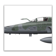 AVIÓN NORTHROP F-5E/M TIGER II CON FABULOSAS PINTURAS CONMEMORATIVAS. en internet