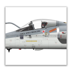 AERONAVES AMX INTERNATIONAL A-1 / A-1A / A-1M • 3/10 GAV - ESQUADRÃO CENTAURO • FAB na internet