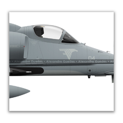 McDonnell Douglas AF-1B Skyhawk II, N-1004, 3 vistas en internet