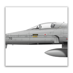 AERONAVES NORTHROP F-5E/M TIGER II • 1/14 GAV - ESQUADRÃO PAMPA • FAB - Art In Profiles - Os melhores Posters de Aviação