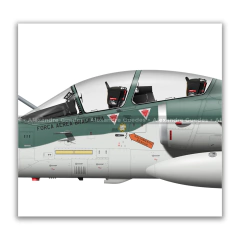 AVIONES INTERNACIONALES AMX A-1B / A-1BM • 1/16 GAV - ESCUADRÓN ADELPHI • FAB - Art In Profiles - Os melhores Posters de Aviação