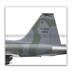 AERONAVES NORTHROP F-5E/M TIGER II • 1 GAVCA - 1/14 GAV - 1 GDA - 1/4 GAV • FAB. - Art In Profiles - Os melhores Posters de Aviação