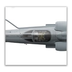 McDonnell Douglas AF-1B Skyhawk II, N-1004, 3 vistas - Art In Profiles - Os melhores Posters de Aviação