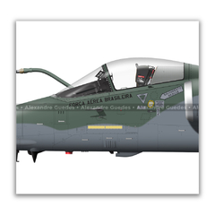 AERONAVES AMX INTERNATIONAL A-1 / A-1A / A-1M • 1/16 GAV - ESQUADRÃO ADELPHI • FAB - Art In Profiles - Os melhores Posters de Aviação