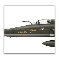 AERONAVES NORTHROP F-5E/M TIGER II COM PINTURAS COMEMORATIVAS DA FAB. - Art In Profiles - Os melhores Posters de Aviação